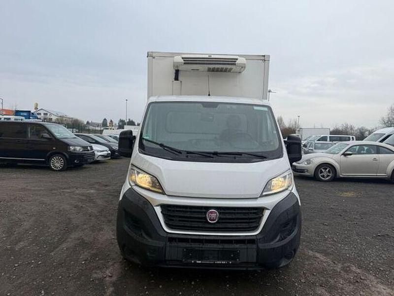 Second-hand Fiat Ducato 2018 Alb Van