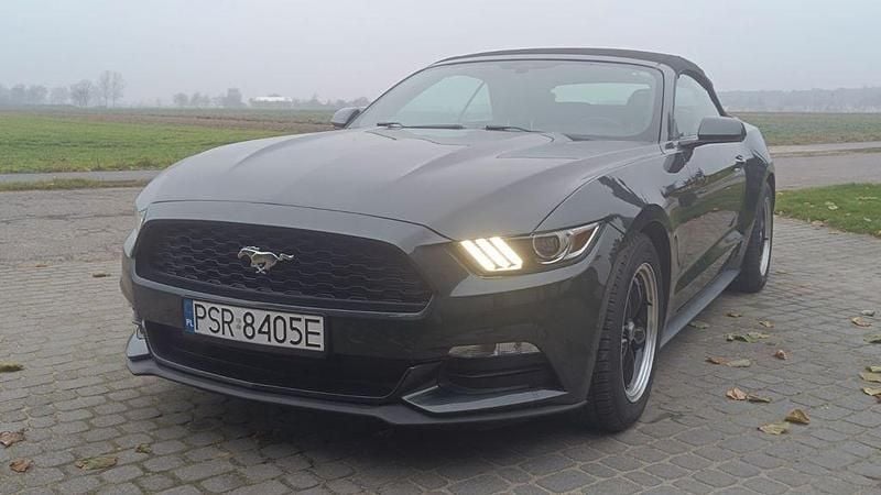 Gebraucht Ford Mustang Convertible 305 PS (224 kW) 2015 Grün Cabrio