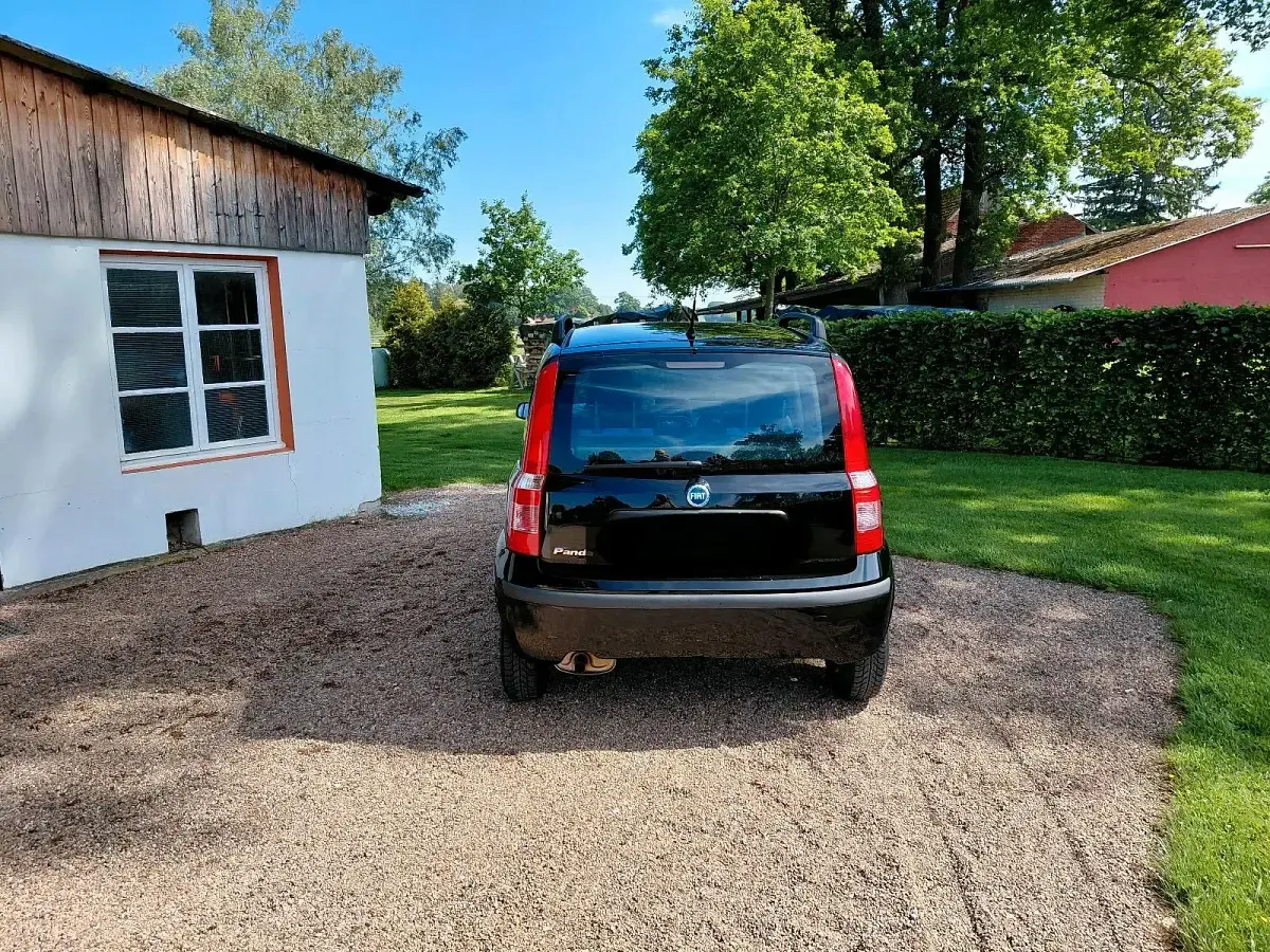 Occasion Fiat Panda 60 ch (44 kW) 2007 Noir Citadine