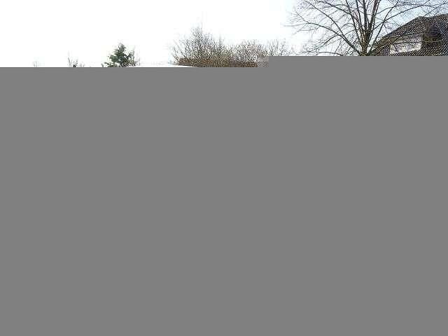 Neu Ford Puma ST-Line 125 PS (91 kW) 2025 Rot SUV