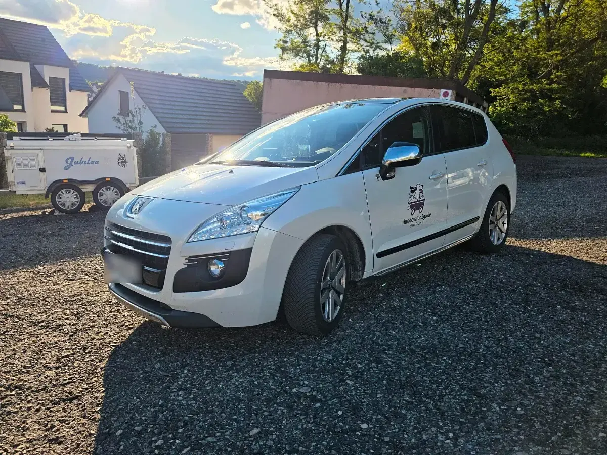 Gebraucht Peugeot 3008 163 PS (119 kW) 2012 Weiß Kombi