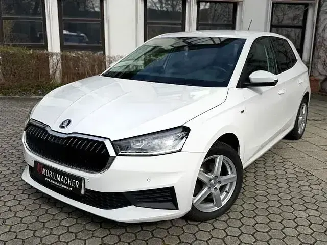 Gebraucht Skoda Fabia Tour 110 PS (80 kW) 2022 Andere Kleinwagen