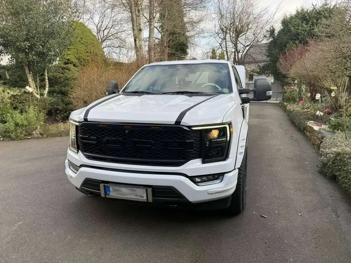 Gebraucht Ford F-150 STX 401 PS (294 kW) 2023 Weiß Pickup