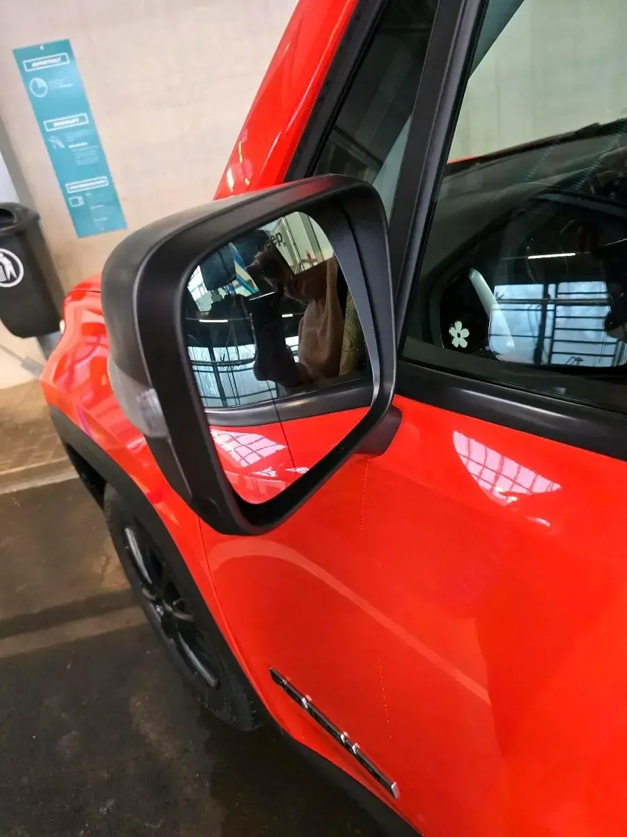 Gebraucht Jeep Renegade Limited 116 PS (85 kW) 2018 Orange SUV