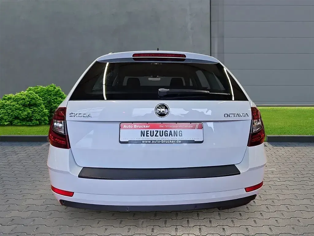 Gebraucht Skoda Octavia Clever 150 PS (110 kW) 2018 Weiss Kombi