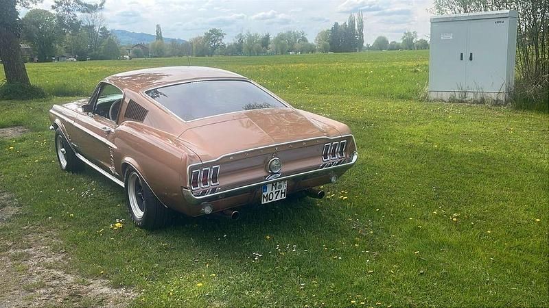 Gebraucht Ford V8 Fastback 203 PS (149 kW) 1967 Gold Coupé