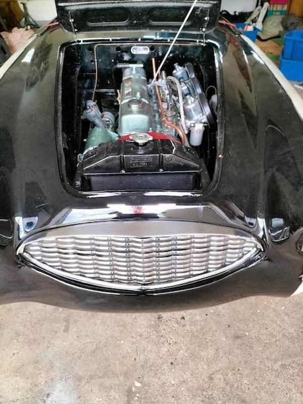 Schwarz Gebraucht 1957 Austin Healey 100 Cabrio | 39.900 € - Bild 1/4