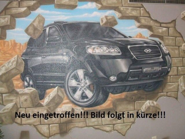 Grün Gebraucht 2024 Suzuki Ignis Comfort Limousine | 19.990 € (Teuer) - Bild 1/1