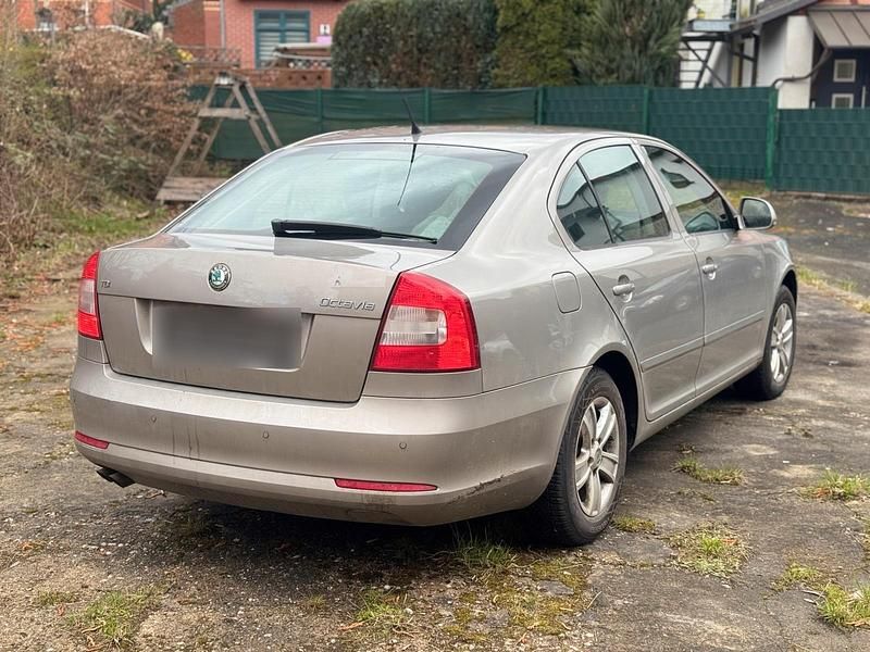 Gebraucht Skoda Octavia 140 PS (102 kW) 2011 Gold Kombi