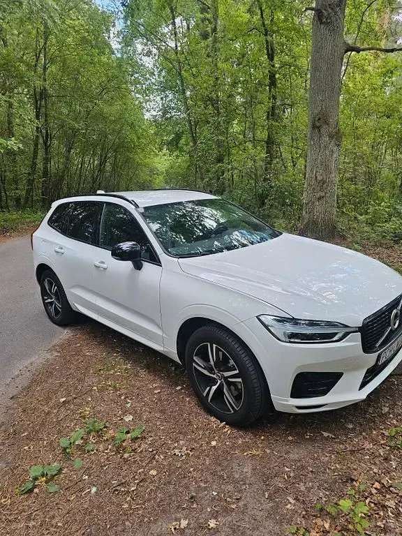 Gebraucht Volvo XC60 R-Design 190 PS (139 kW) 2020 Weiß SUV