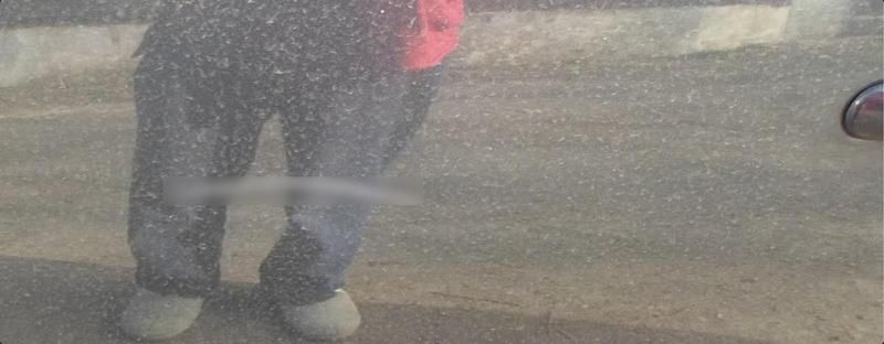 Gebraucht Seat Ibiza 75 PS (55 kW) 2005 Grau Kleinwagen