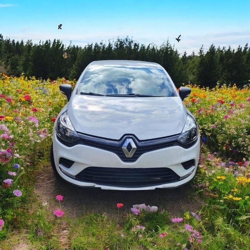 Weiß Gebraucht 2019 Renault Clio IV Life Kleinwagen | 7.990 € (Guter Preis) - Bild 1/4