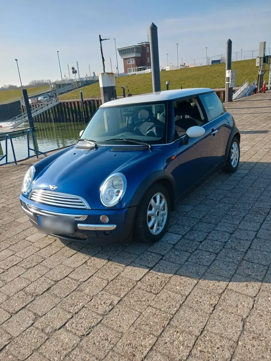 Usata Mini Cooper 115 CV (84 kW) 2003 Blu Utilitaria