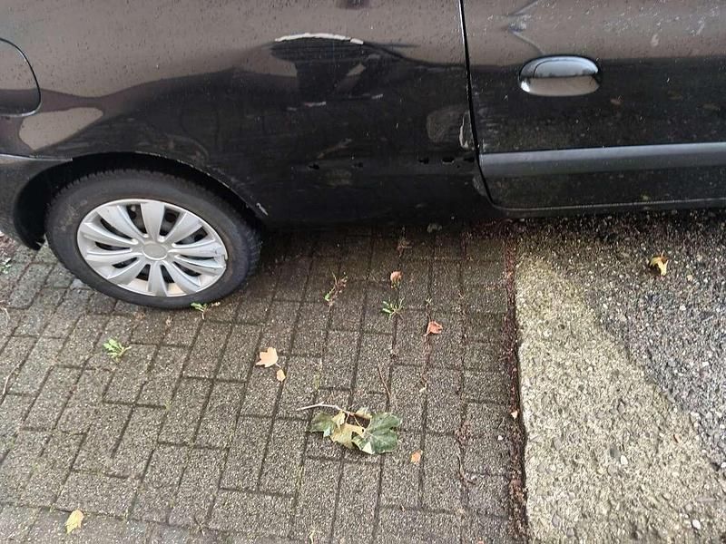 Gebraucht Renault Clio II Dynamique 75 PS (55 kW) 2009 Limousine