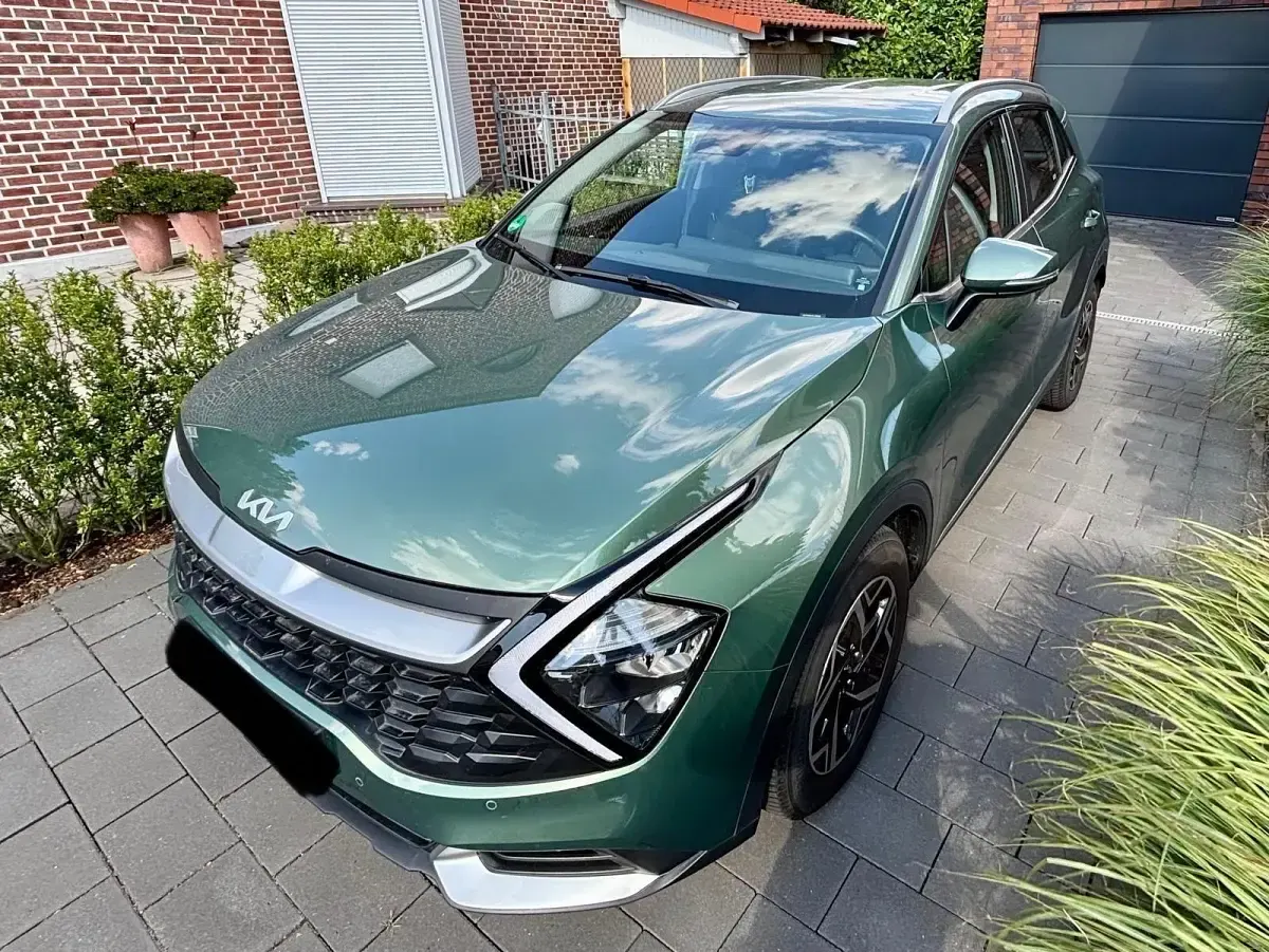 Gebraucht Kia Sportage Edition 7 150 PS (110 kW) 2023 Grün SUV