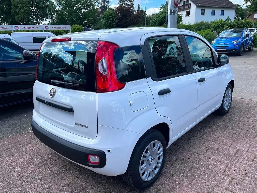 Neu Fiat Panda 65 PS (47 kW) 2026 Weiß Kleinwagen