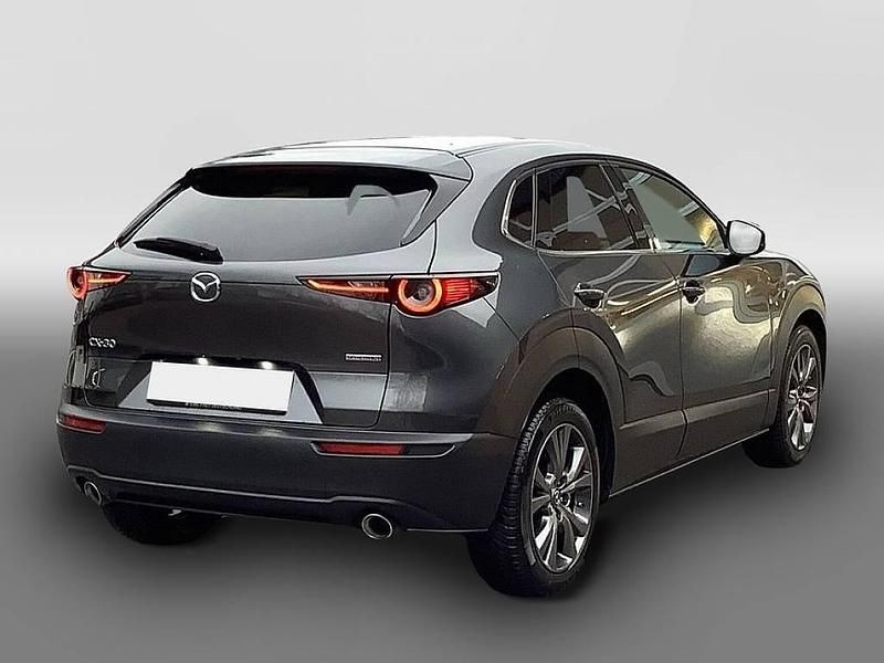 Gebraucht Mazda CX-30 Selection 179 PS (131 kW) 2020 Grau SUV