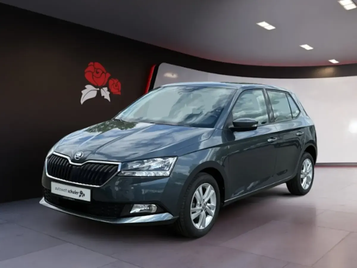 Gebraucht Skoda Fabia Drive 95 PS (69 kW) 2021 Quarzgrau metallic Kleinwagen