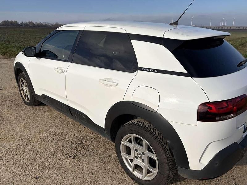 Gebraucht Citroën C4 Shine 110 PS (80 kW) 2019 Weiß SUV