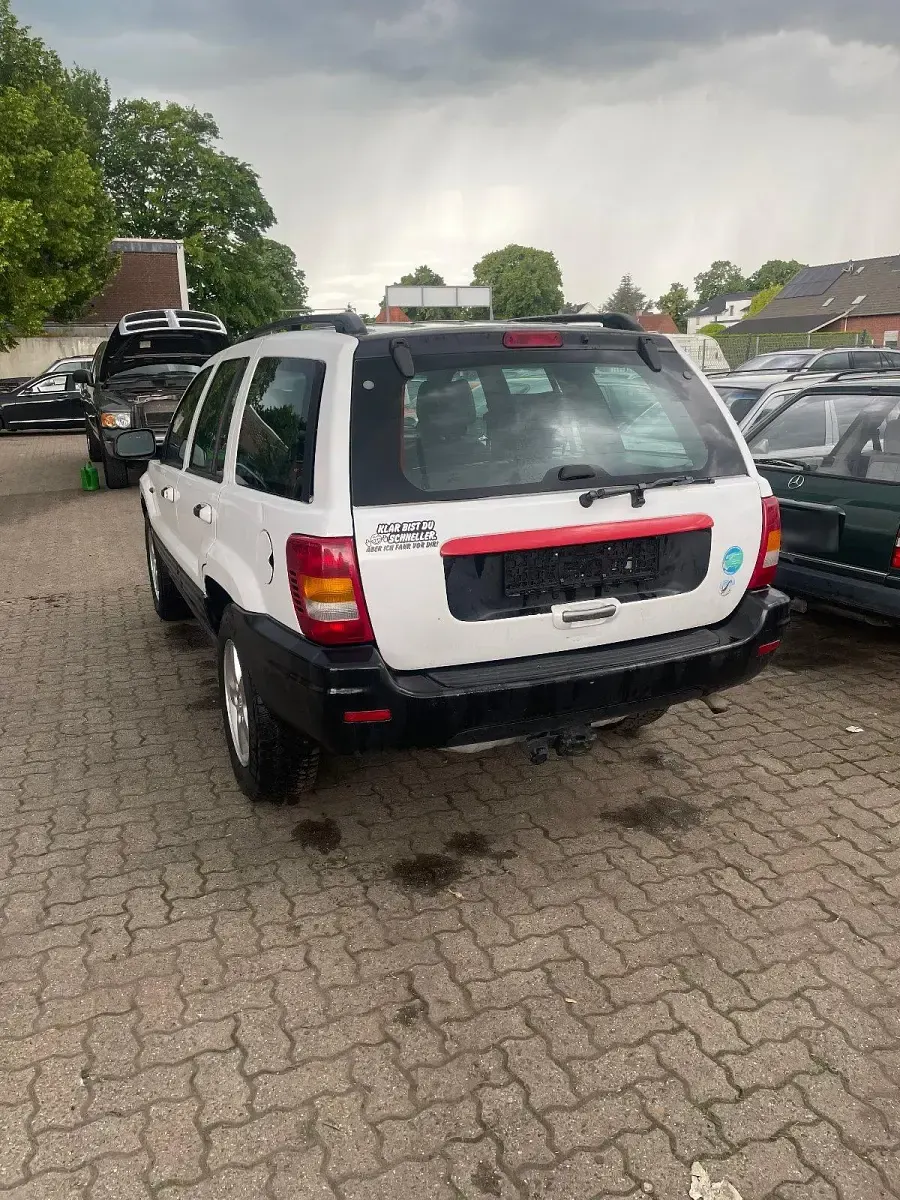 Gebraucht Jeep Grand Cherokee 190 PS (139 kW) 2000 Weiß SUV