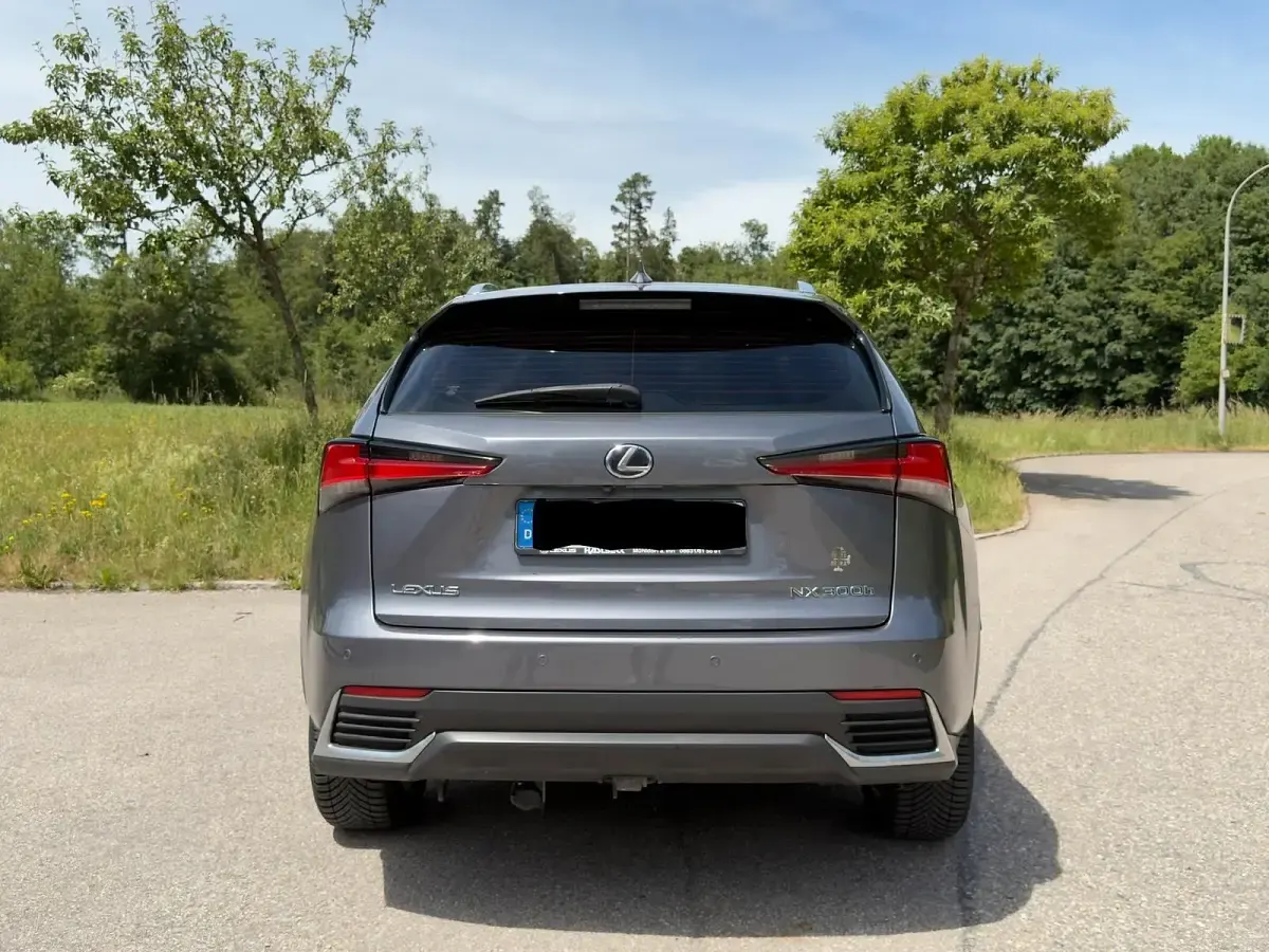 Gebraucht Lexus NX300h 199 PS (146 kW) 2018 Grau SUV