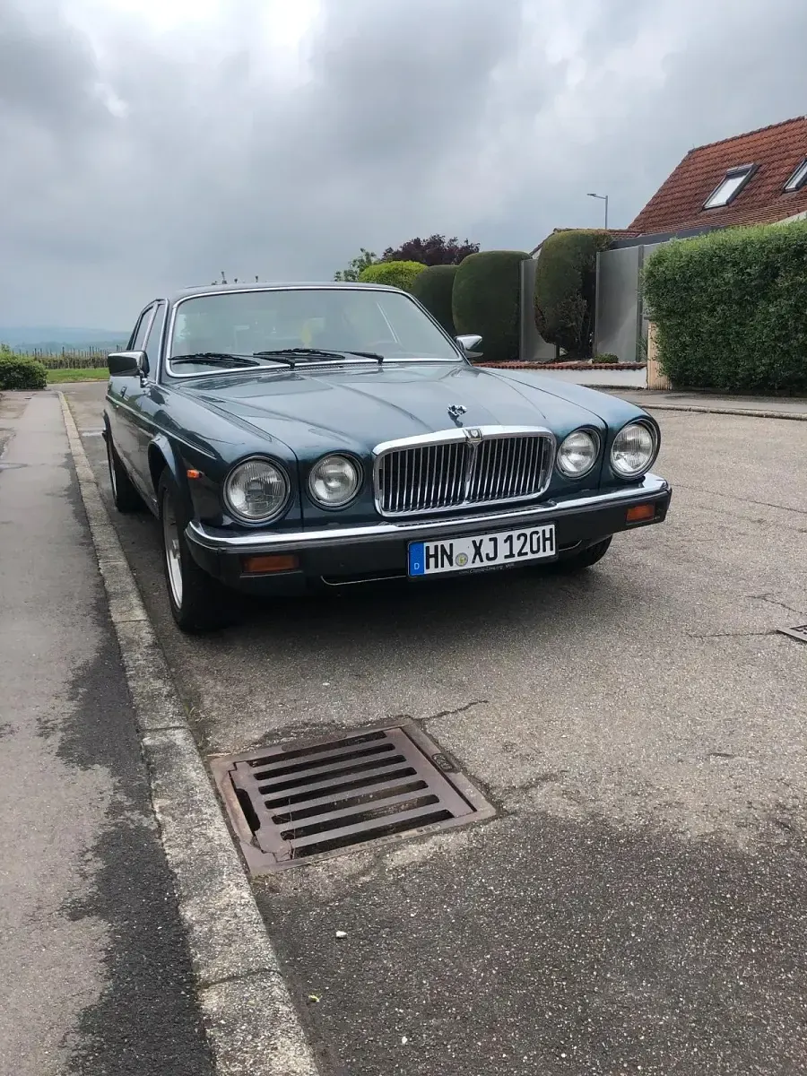 Gebraucht Jaguar XJ12 295 PS (216 kW) 1986 Blau Limousine