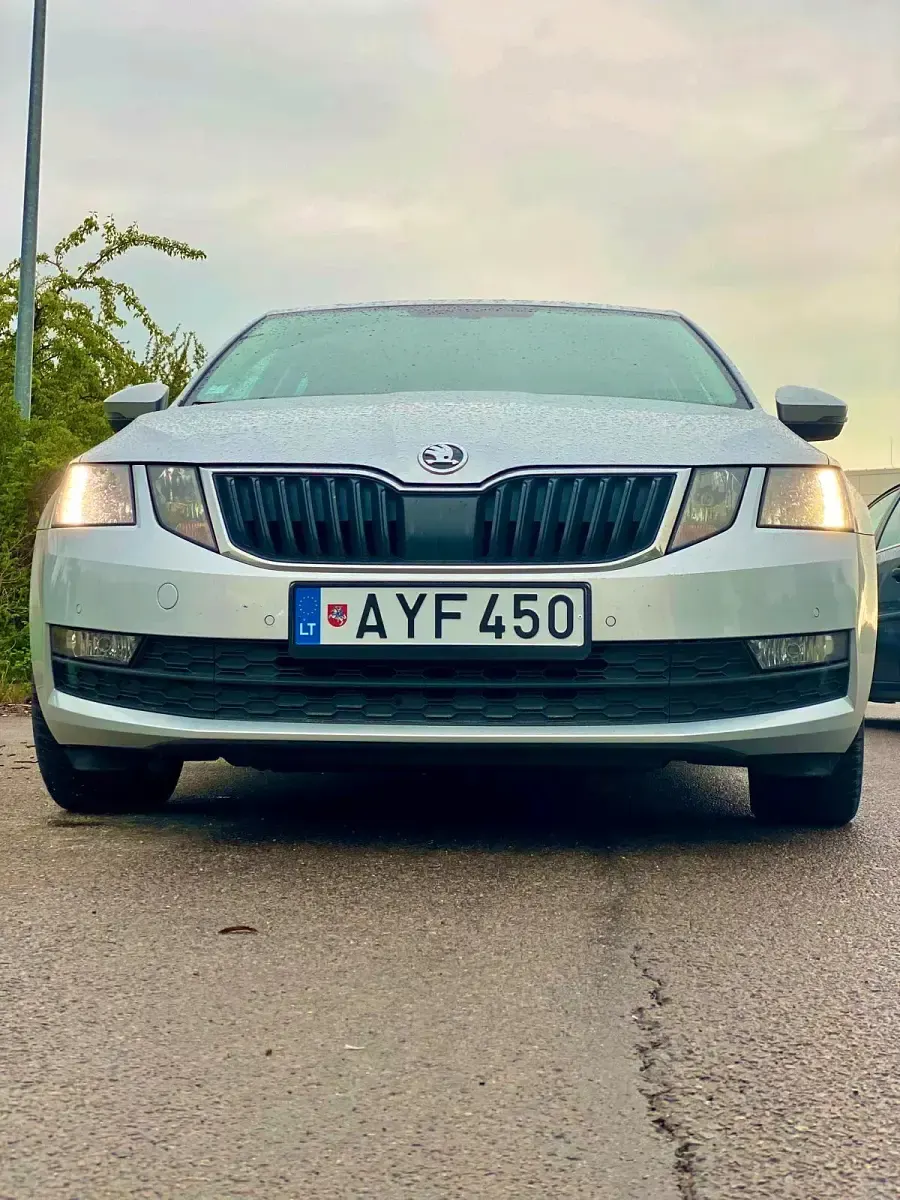 Brugt Skoda Octavia 2019 Sedan