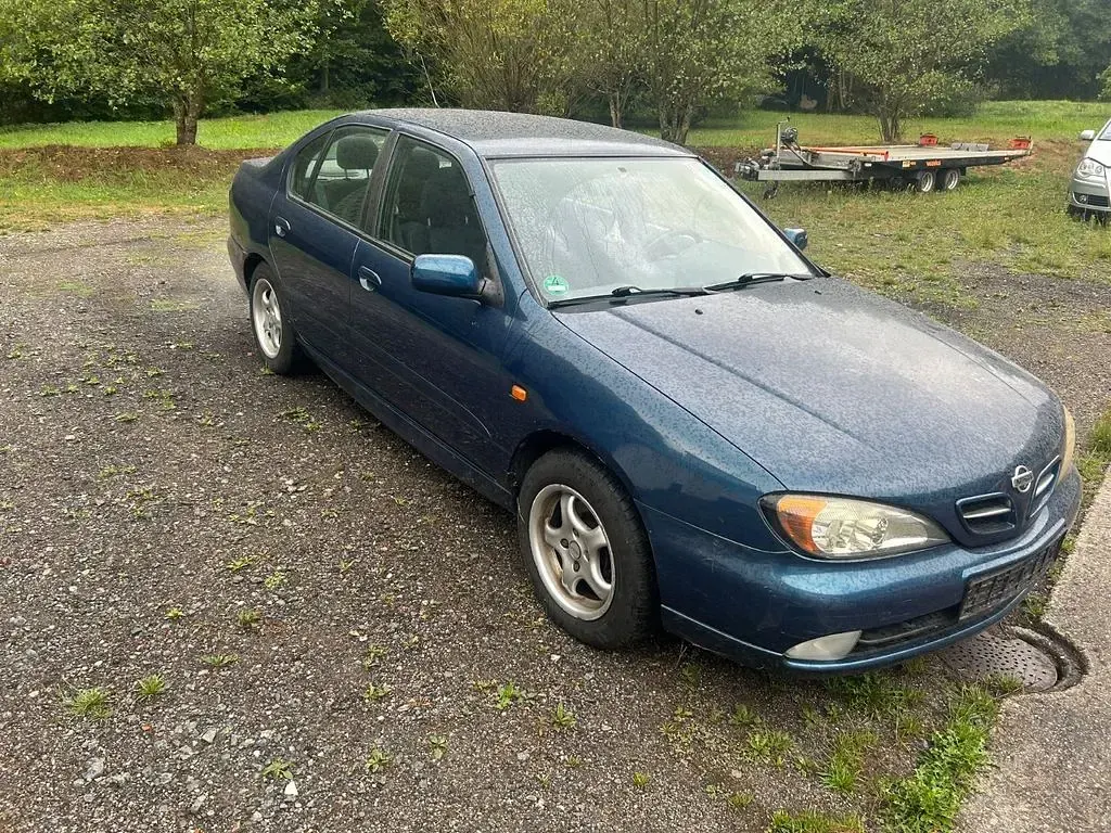 Gebraucht Nissan Primera Comfort 114 PS (83 kW) 2000 Grün Kombi