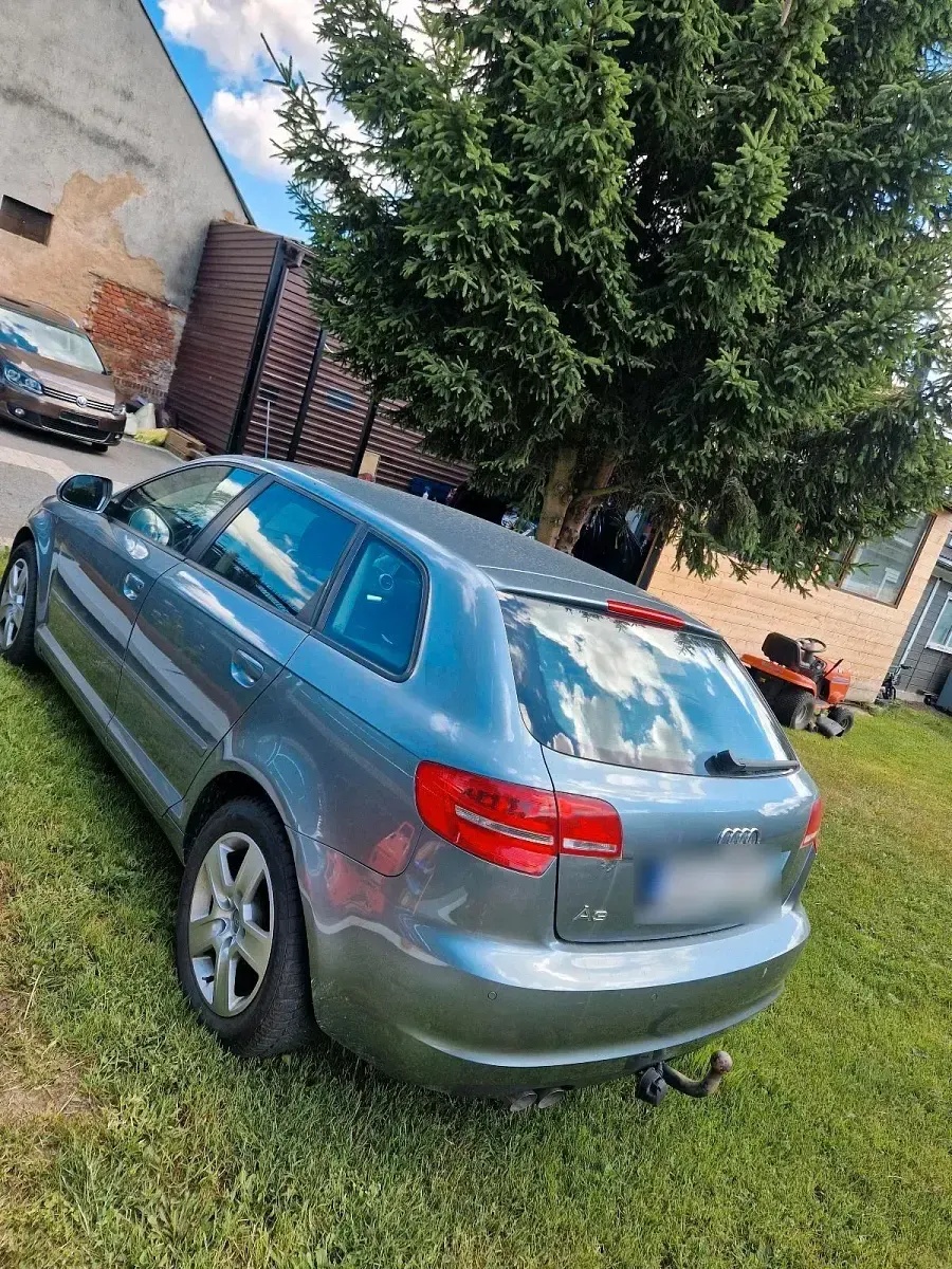 Gebraucht Audi A3 Sportback 105 PS (77 kW) 2008 Grün Kleinwagen