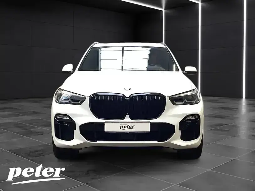 Gebraucht BMW X5 M Sport 340 PS (250 kW) 2020 Alpinweiss iii SUV