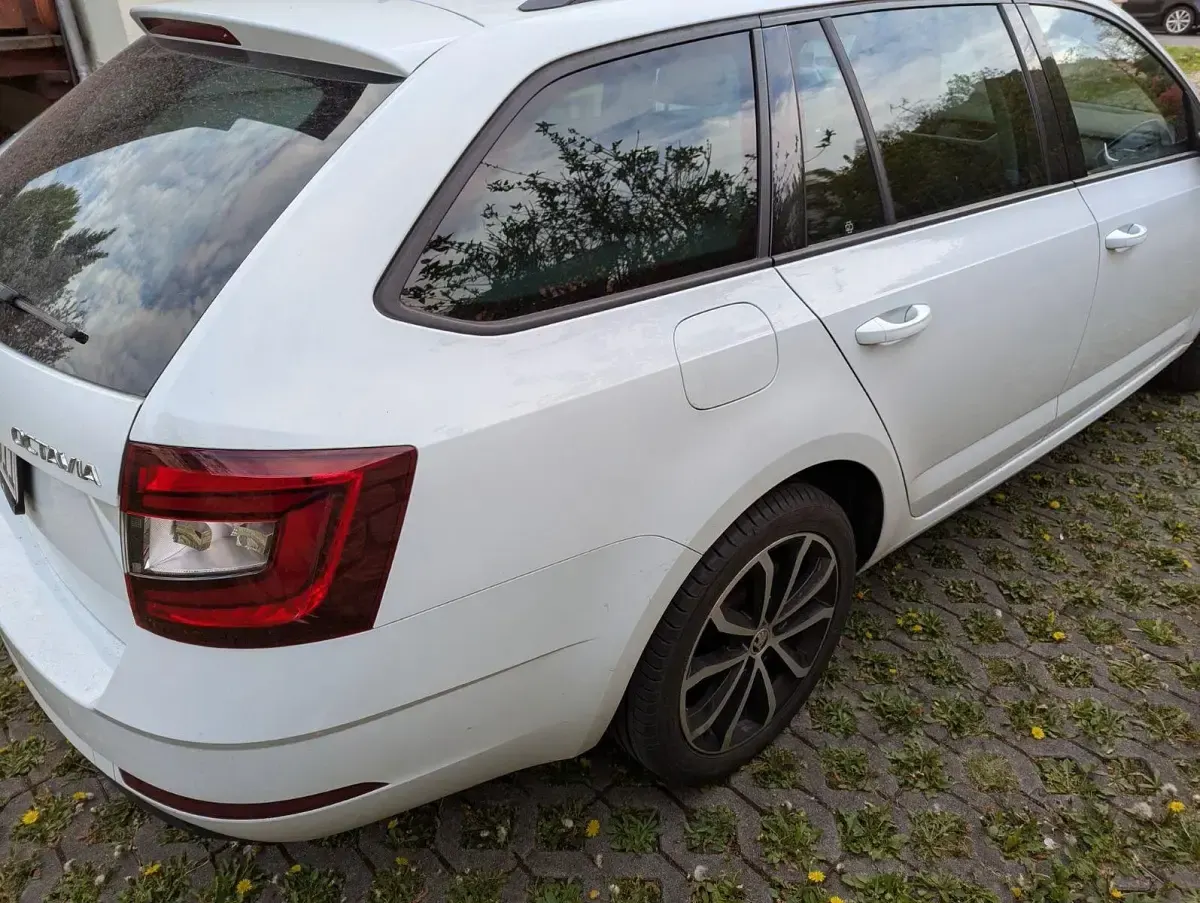 Gebraucht Skoda Octavia Soleil 116 PS (85 kW) 2019 Weiß Kombi