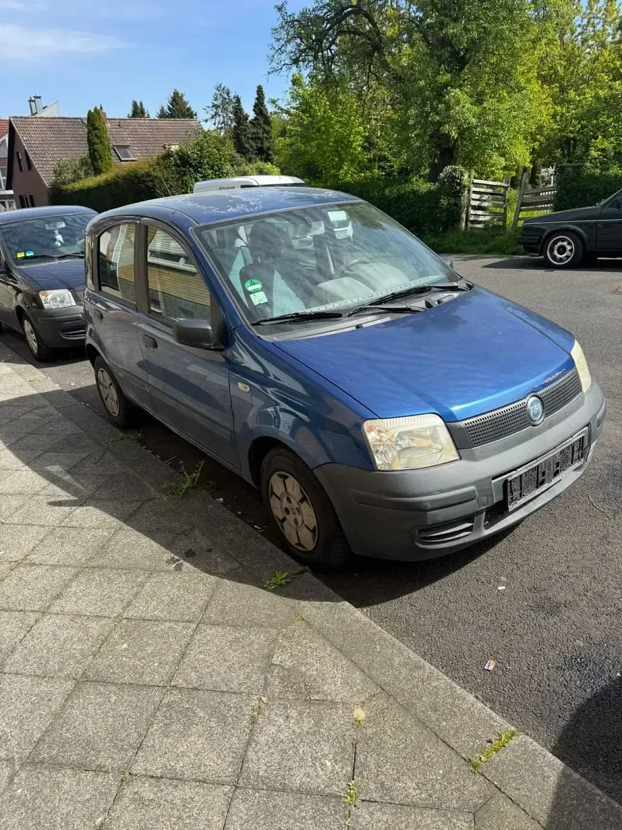 Usata Fiat Panda 54 CV (39 kW) 2004 Blu Utilitaria