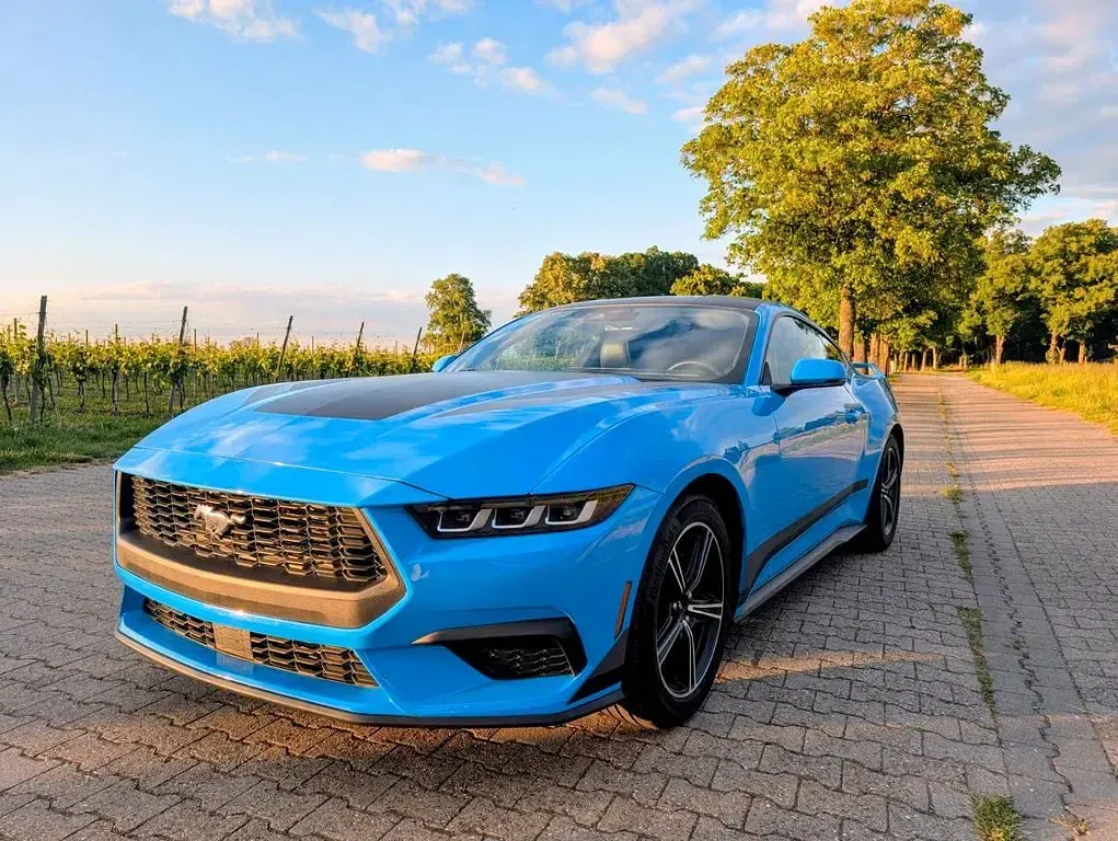 Occasion Ford Mustang 320 ch (235 kW) 2024 Bleue