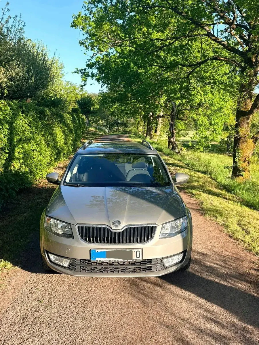 Gebraucht Skoda Octavia 105 PS (77 kW) 2014 Grau Kombi