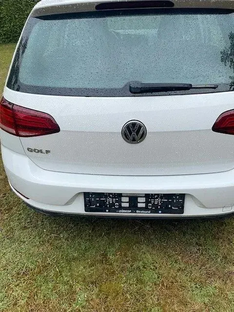 Gebraucht VW Golf VII Comfortline 116 PS (85 kW) 2019 Weiß Limousine