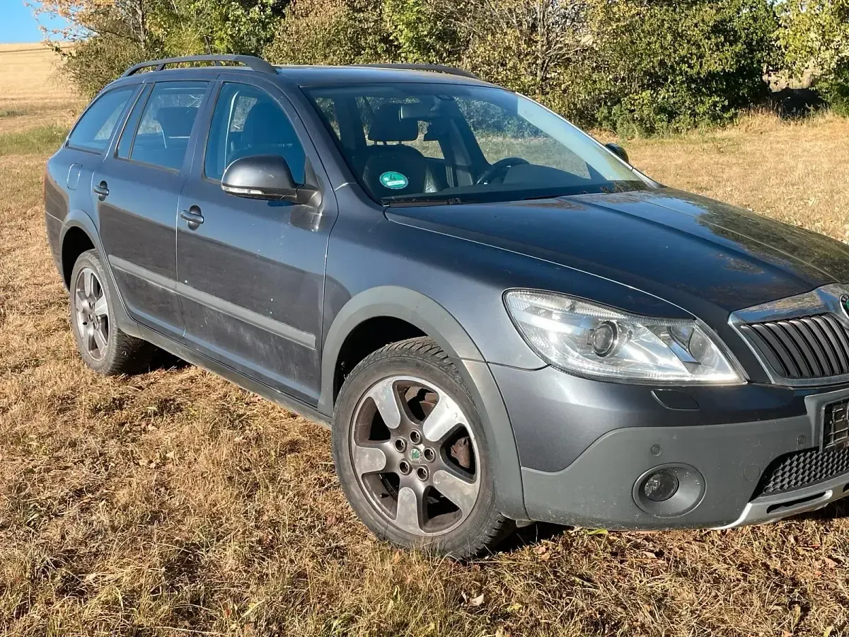 Gebraucht Skoda Octavia Scout Scout 4x4 160 PS (117 kW) 2011 Grau Kombi