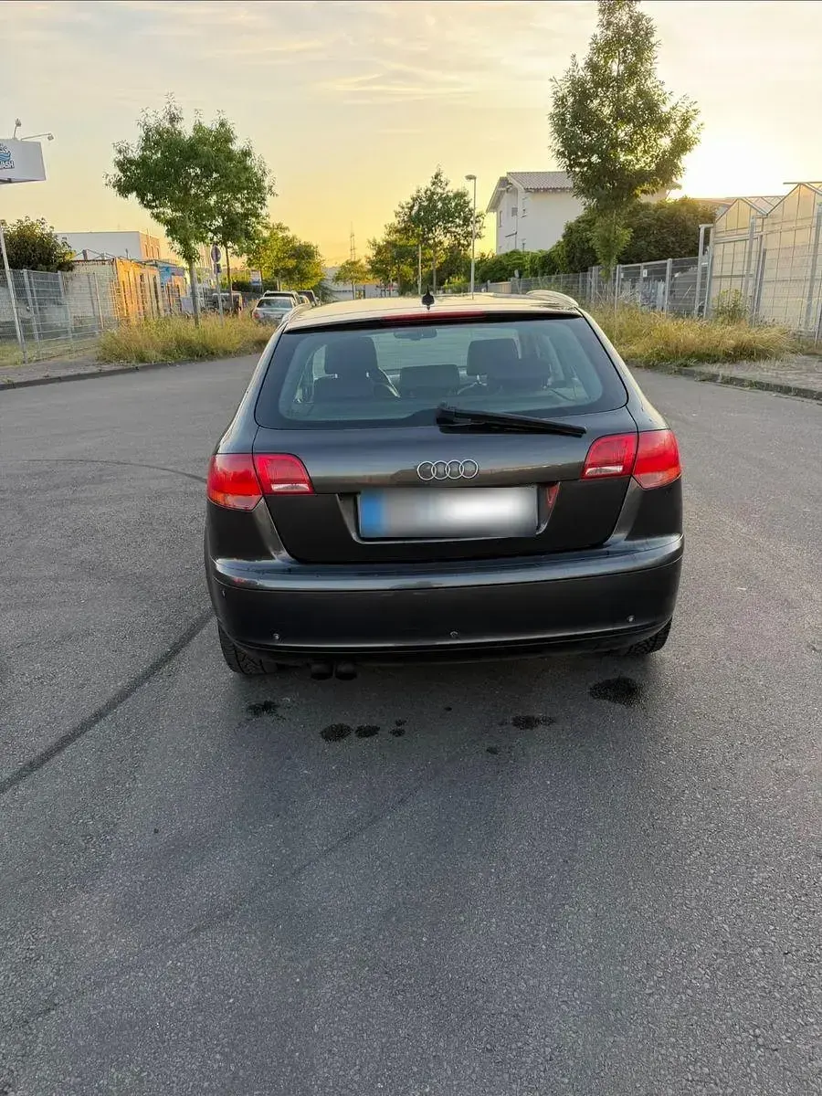 Gebraucht Audi A3 Ambiente 140 PS (102 kW) 2005 Grau Kleinwagen