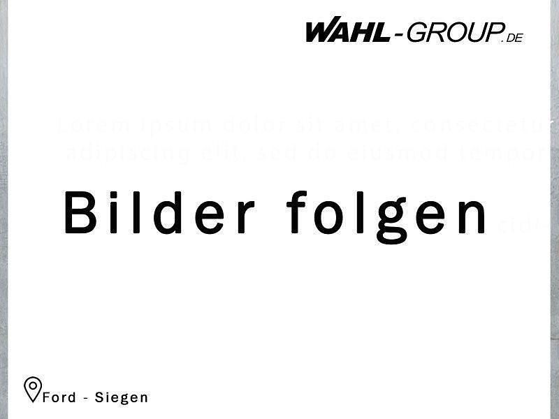 Silber Gebraucht 2024 Ford Transit Trend Van | 42.352 € - Bild 1/1