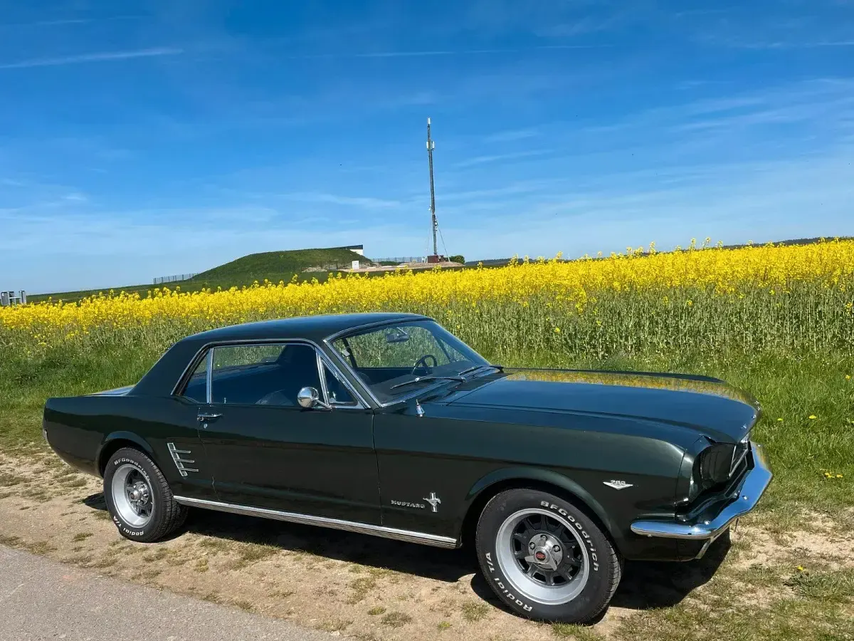 Gebraucht Ford Mustang 200 PS (147 kW) 1966 Grün Coupé
