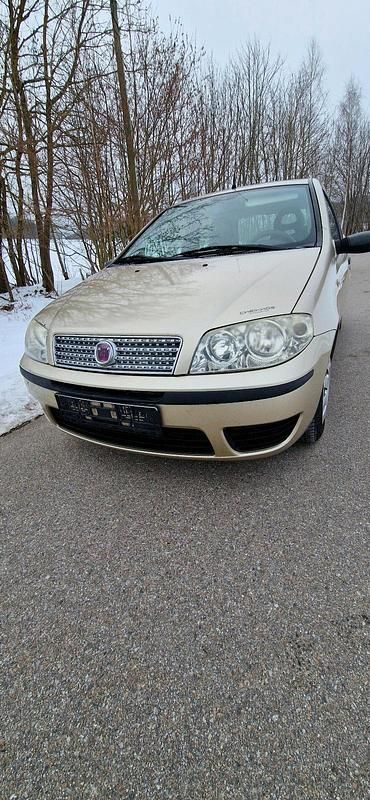 Gold Gebraucht 2008 Fiat Punto Kleinwagen | 370 € (Superpreis) - Bild 1/4