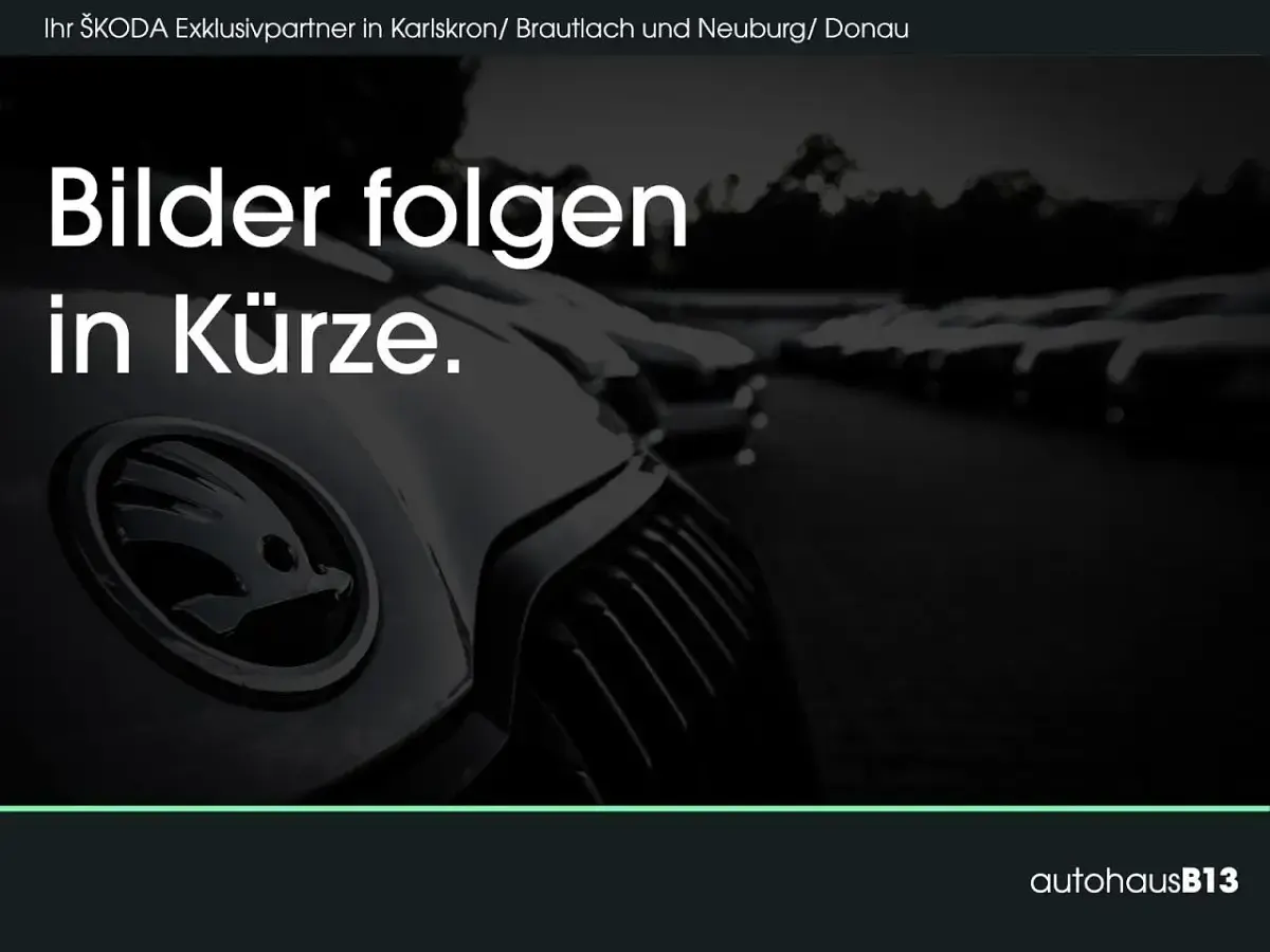 Gebraucht Skoda Kodiaq Soleil 150 PS (110 kW) 2019 SUV