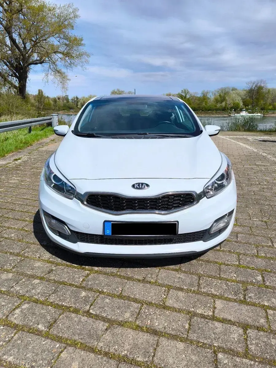 Gebraucht Kia ProCeed 128 PS (94 kW) 2014 Weiß Kleinwagen