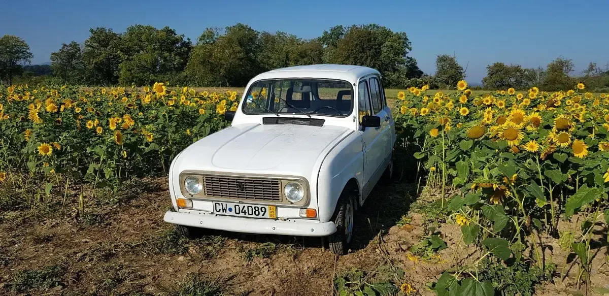 Gebraucht Renault R4 34 PS (25 kW) 1991 Weiß Kleinwagen