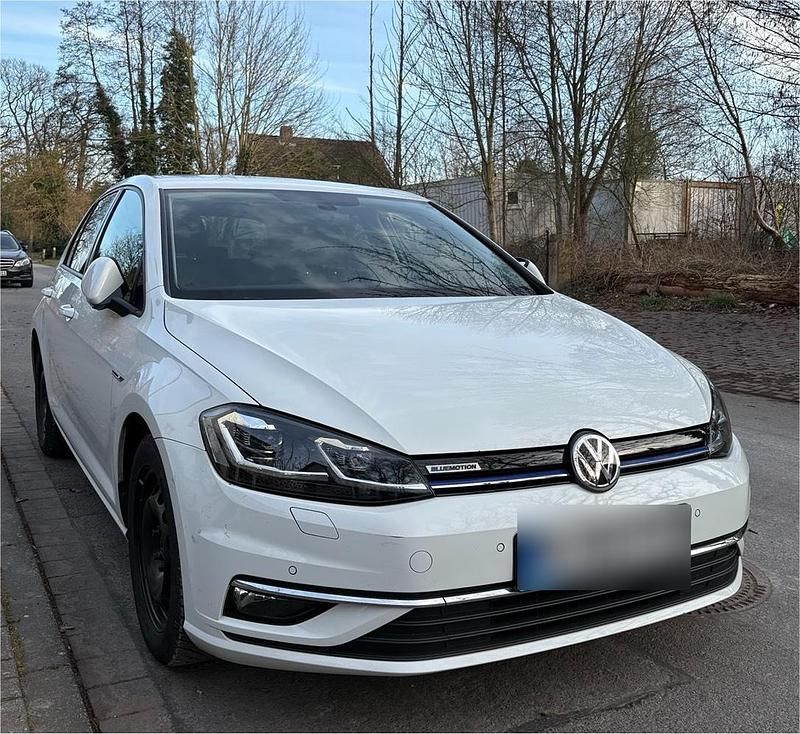 Gebraucht VW Golf VII 130 PS (95 kW) 2019 Weiß Kleinwagen