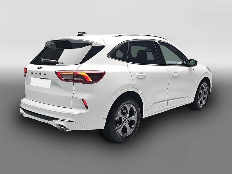 Usata Ford Kuga ST-Line 186 CV (136 kW) 2025 Bianco SUV