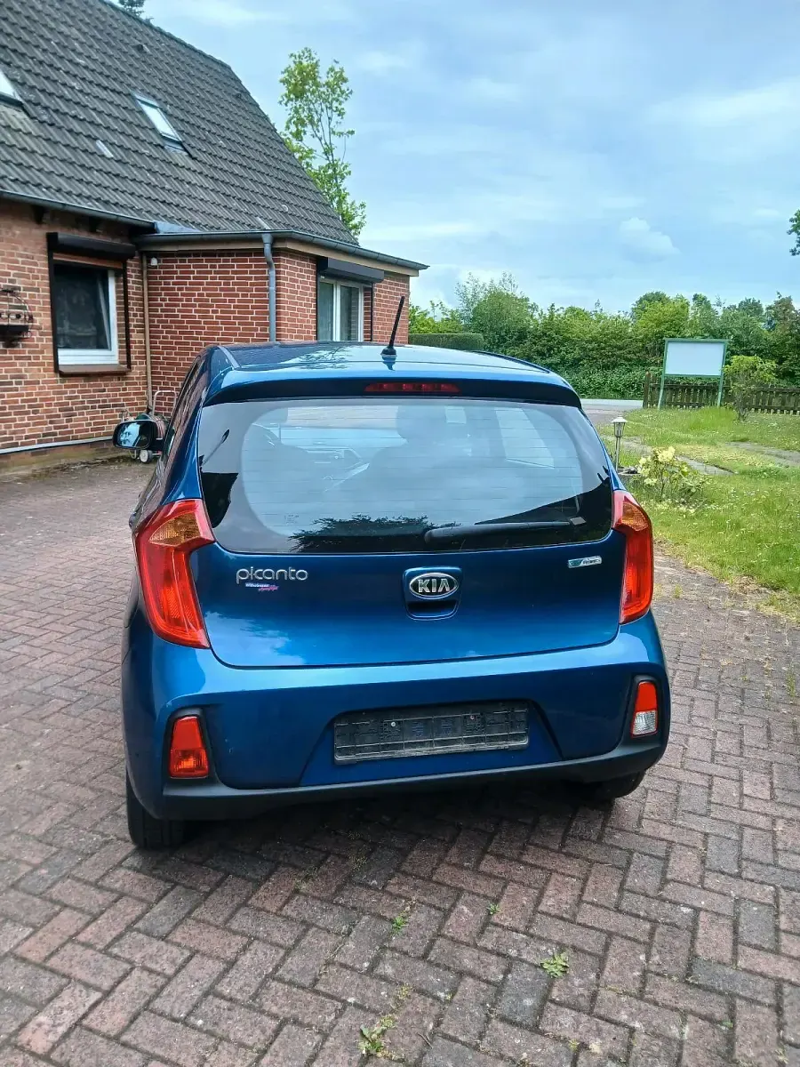 Używany Kia Picanto 67 KM (49 kW) 2016 Niebieski Hatchback
