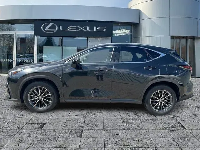 Gebraucht Lexus NX350h Executive Line 243 PS (178 kW) 2024 Graphitschwarz SUV