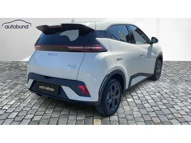 Neu BYD Dolphin Boost 64 kW (88 PS) 2026 Kleinwagen