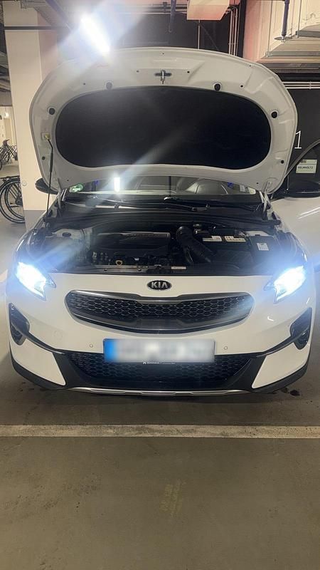 Gebraucht Kia XCeed Xdition 204 PS (150 kW) 2021 Weiß SUV