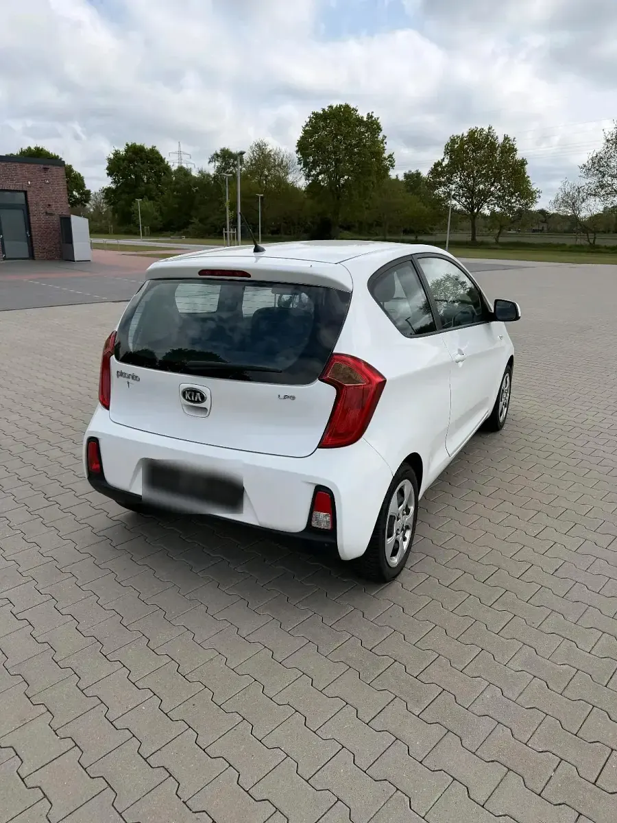 Gebraucht Kia Picanto 69 PS (50 kW) 2015 Weiß Kleinwagen